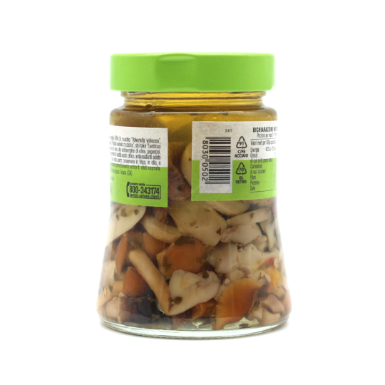 Funghi misti alla calabrese d´amico 280gr.